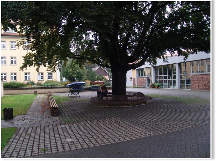 Click on the photo for the original